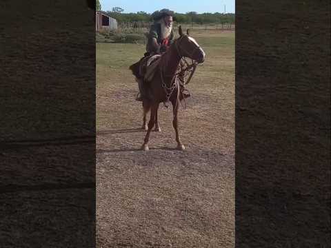 Veterano domador tradicional en potro 🐴