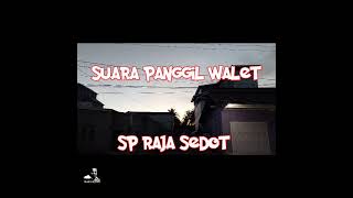 Download lagu SP RAJA SEDOT Suara Panggil Walet... mp3