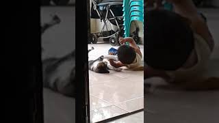 Download lagu Kocak ?? 😂😂 anak ini di cakar kucing gy sedang tidur mp3