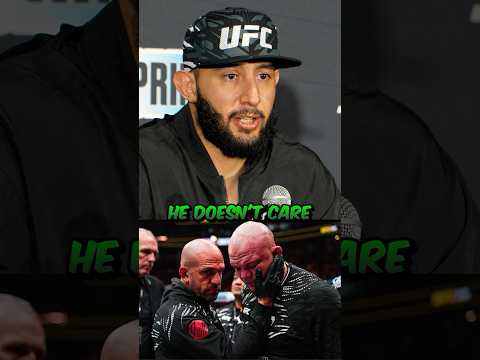 UFC 310 Showdown Anthony Smith vs. Dominick Reyes A Pivotal Light Heavyweight Clash