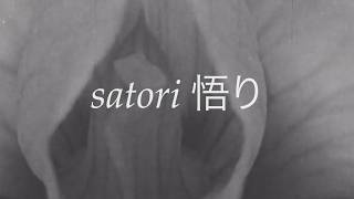 Satori 悟り thumbnail