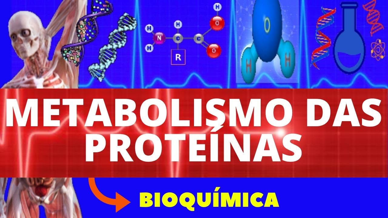 METABOLISMO DE PROTEÍNAS (ENSINO SUPERIOR) - BIOQUÍMICA