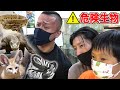 【閲覧注意】危険生物と爬虫類VSポパイ関根!【珍獣】