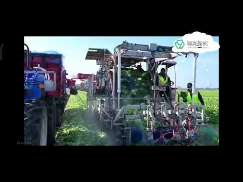 Heavy Duty Kuka Robot Arm Systems For KR DELTA Robots In Handling Packaging 7 Dof Arm