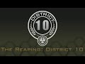 12th iFunny Hunger Games Reaping: District 10