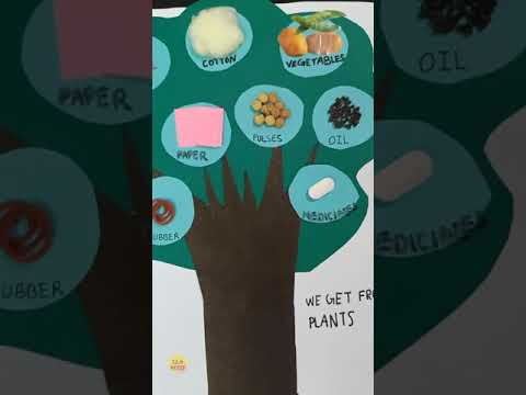 tlm/trees activity tlm/uses of trees/things we get from plant#shorts