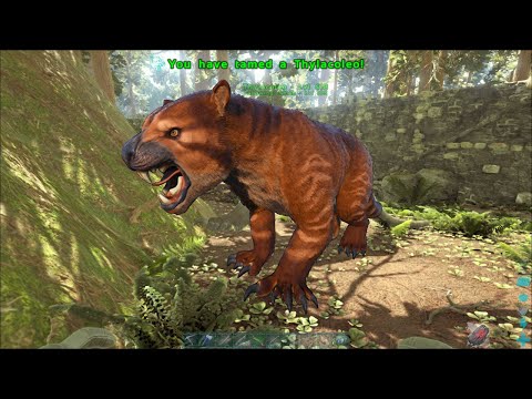 ARK: Survival Evolved -Taming and Leveling: High-Level Thylacoleo Tamed with Lightning Progress.