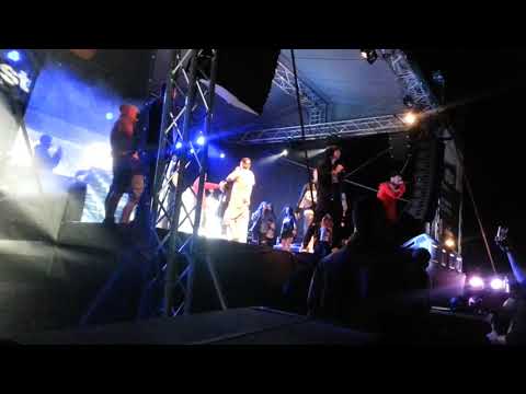 H16 x DMS x ONYX - 900 - HHZ Duchonka