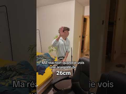 Quand je vois une araignée