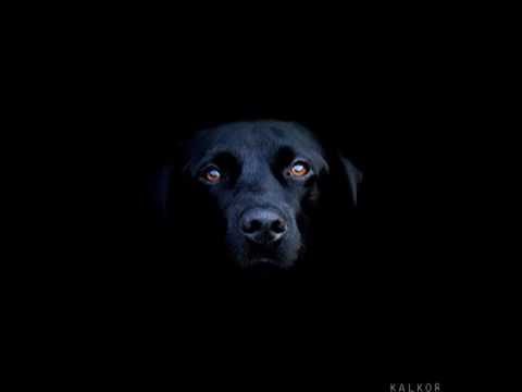 KalKor ft DJ Scribe - Lost Connected