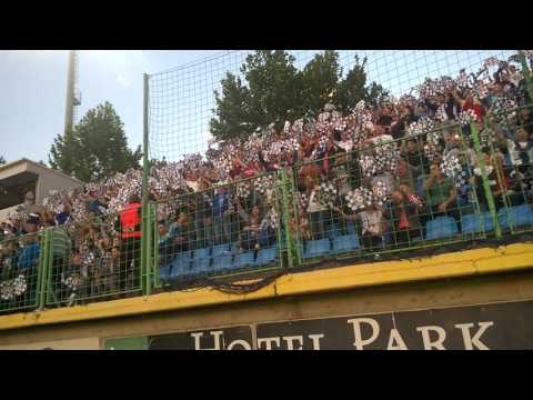 Pecara pjeva "Ponosna moja je zemlja, Hercegovina"