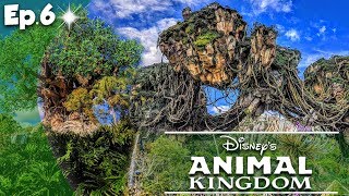 VLOG USA | LE PLUS BEAU LAND DU MONDE ! - Disney&#39;s Animal Kingdom #6