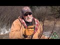 How American Plum Can Overtake Food Plot Edges