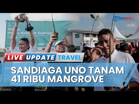 Sandiaga Uno Tanam 41 Ribu Bibit Bakau di Taman Hutan Raya Bali, Wujudkan Pariwisata Berkelanjutan
