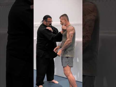 Será que Steven Seagal precisava ter batido com tanta força?? #stevenseagal #seagal #aikido