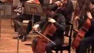 THE BEATLES - Fool On The Hill by string orchestra