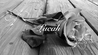 Se supone-Letra (Lucah)