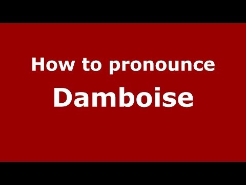 How to pronounce Damboise (French/France) - PronounceNames.com