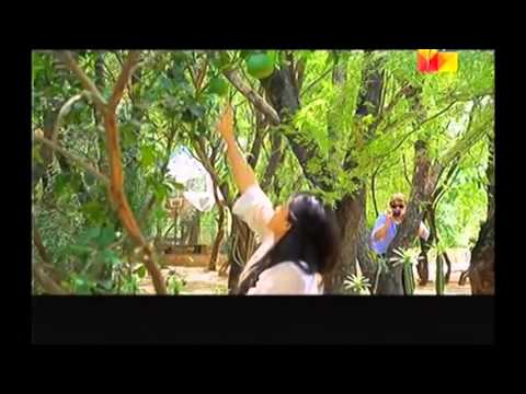 Muhabbat Subh Ka Sitara Hai- NabeelRomaisaVM - Dil Ki Lagi