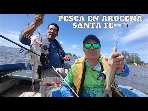 Pesca de PATÍ y AMARILLOS🎣 - Pescado a la Cajita de Vino👨🏻‍🍳 - En Arocena🌍