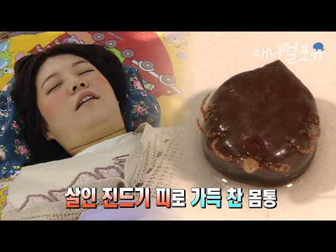 위험한 야생 진드기로부터 안전할 수 있었던 이 행동?? | KBS 위기탈출 넘버원 150504 방송
