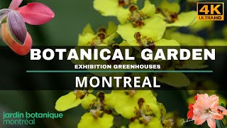 Download the video "Montreal Botanical Garden / Jardin botanique"