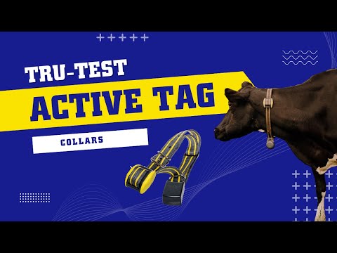Tru-Test Active Tag Collars with John O'Sullivan