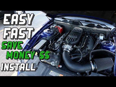 Mustang Boss 302 | Lu47lb Injectors E85 \ud83c\udf3d | Purge Valve Install! | 11-14 Mustang GT