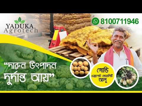 West Bengal Farmers Plan to Export Their Potato Produce