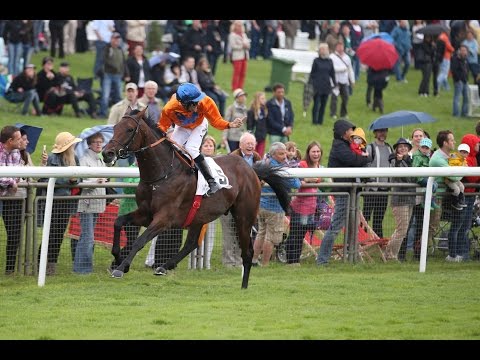 Hannover: Großer Audi Q7 Preis des Audi Zentrums Hannover (Gruppe 2) - Sieger: Wild Chief