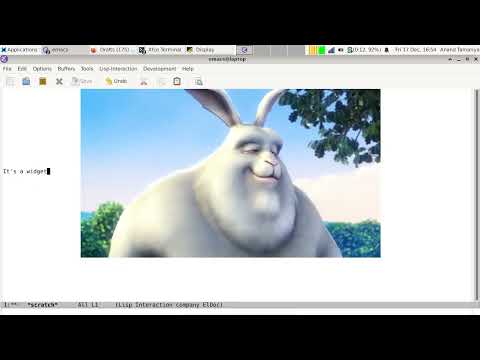 Video widget in GNU Emacs
