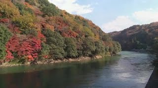 preview picture of video '京都 宇治川の紅葉 天ヶ瀬吊橋へ Along Uji River in autumn, Kyoto(2013-12)'