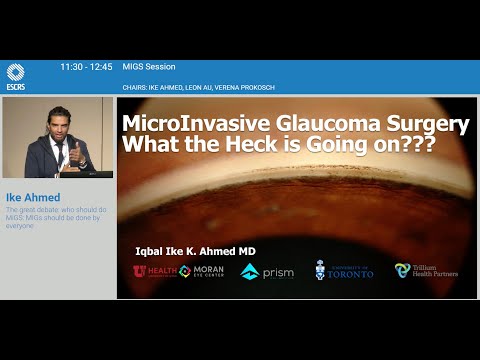 Ike Ahmed ESCRS24 MIGS Debate