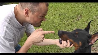 I Will Get CGC Out Of You (Canine Good Citizen Mulan Parody)