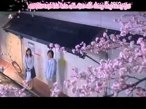 It's great to meet you (Sakura anata ni deaete yokatta) - RSP