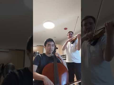 Minecraft Soundtrack: "Wet Hands" on Cello and Violin with Clay Hancock