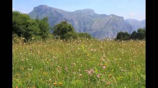 Grateful Dead ~ Weather Report Suite / Let it Grow ~ 9-17-1973 Syracuse NY