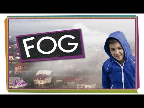 Where Does Fog Come From? | Weather Science | SciShow Kids