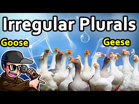 Irregular Plurals: A Rap Song