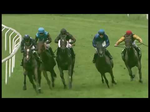 2017.06.04 Guineas Trial (DEN) - Istan