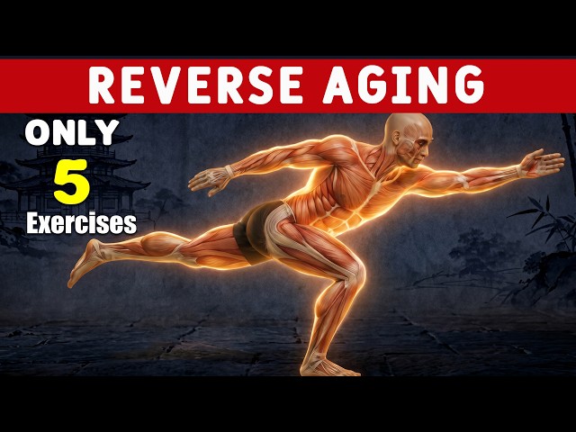 5 Human Movements You Should Never Lose Fix Aging, Pain & Stiffness SDDEFAULT Thumbnail