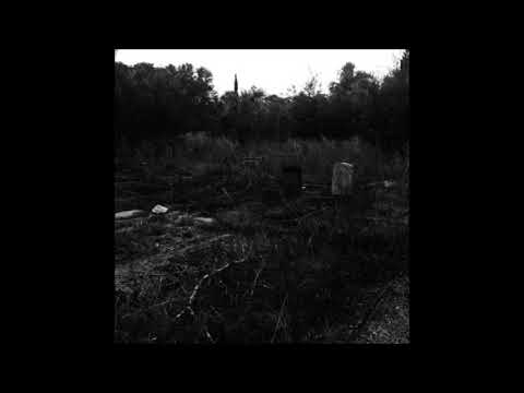 19. The Guest - Million Miles/Special Death [07.02.2020]