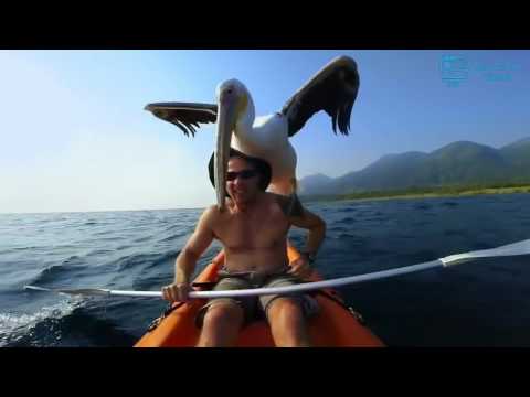 Souljah Jerome   SILENZE (2016)