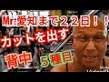 《じぃじの筋トレ》Mr.愛知ボディビル選手権大会まで22日!!背中トレ追い込みとカットを出す5種目!!
