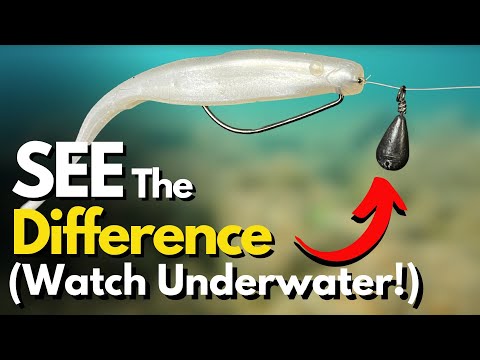 What a Soft Jerkbait on a Free Rig REALLY Does? (4 Models Compared)