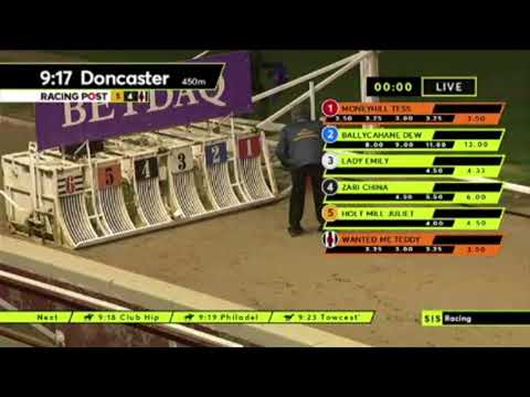 Carreras de Galgos - Doncaster 2021 🇬🇧 SIS