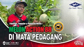 Download lagu BISI Sahabat Petani : #Melon Action 88 diMata Pedagang mp3