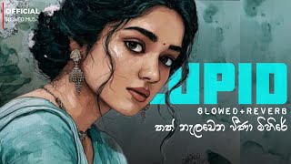 Download lagu Cupid Deva | තත් නැලවෙන වීණා මිහිරේ | Perfectly Slowed And Reverb Song | Deva New Song | DL MUSIC  mp3
