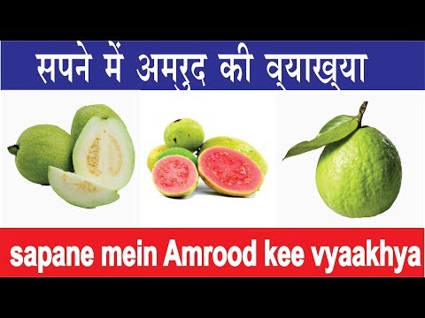download lagu mp3 mp4 Guava In Dream, download lagu Guava In Dream gratis, unduh video klip Guava In Dream