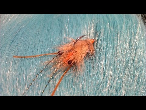 peterson's spawning shrimp